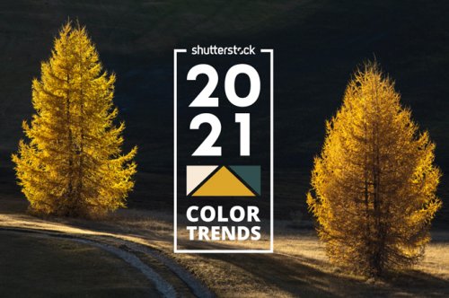 2021 Color Trends: The World's Most Mainstream Colors
