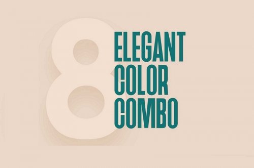 8 Elegant Color Combo