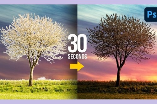 Remove Halos in 30 Seconds With Photoshop! #Shorts