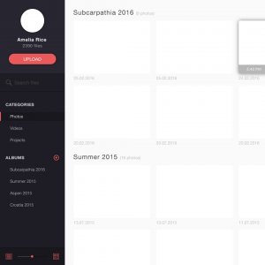 Photo Management Dashboard