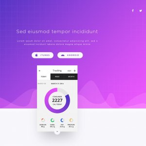 App Page Template