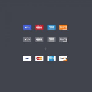 Credit Card Icons