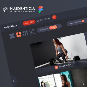 Multipurpose Broadcast Video Conference UI