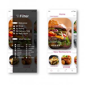 Fodoo - iOS and Android UI Kit
