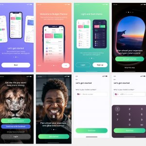 Budget Planner: Onboarding Screens UI Kit