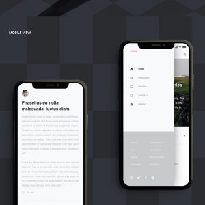 Responsive Resize UI Kit for Adobe XD