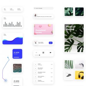 Card - Free UI Kit For InVision Studio