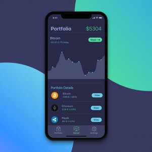 Portfolio Screen for Cryptocurrency App