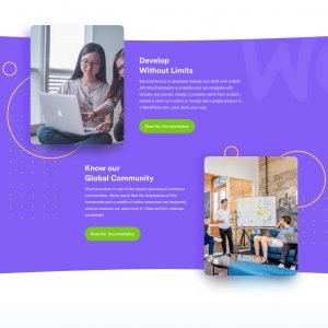 Woo Landing Page for Figma