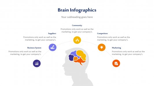 Brain Infographics
