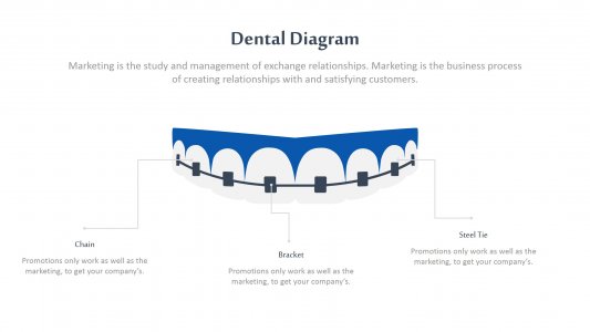 Dental Infographics
