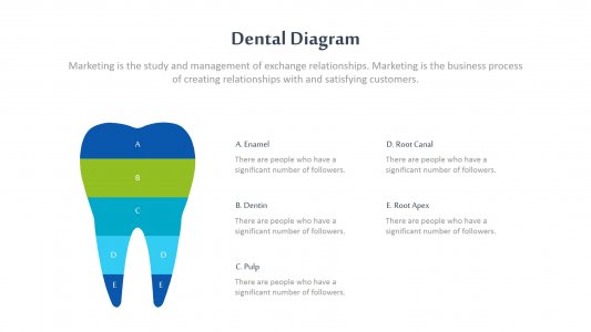 Dental Infographics