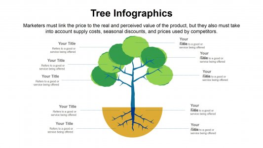 Vector Infographics For Presentation