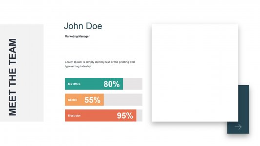 Photo Layout Infographics